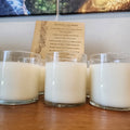 Wholesale Clear 8.5oz Candles